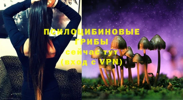 a pvp Михайлов